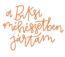 Biksi Méhészet Sticker