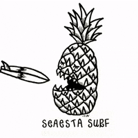 pineapple sleeping GIF by Seaesta Surf