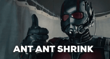 Antmanmeetsonepiece GIF