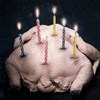 happy birthday GIF by NETFLIX