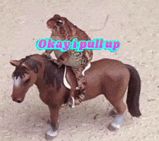 Party Horse GIF