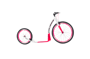 Crussis Sticker