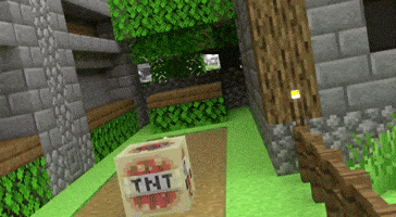Tnt GIF