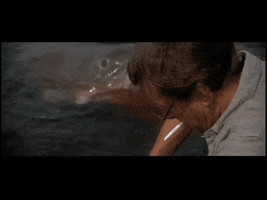 apnic  GIF