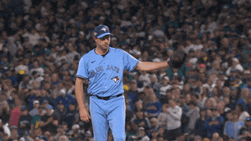 Blue Jays Canada GIF by Toronto Blue Jays