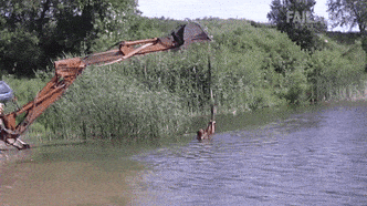 redneck