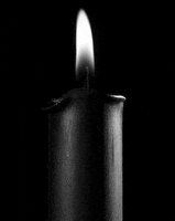 Black And White Fire GIF