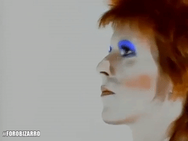 norms  GIF