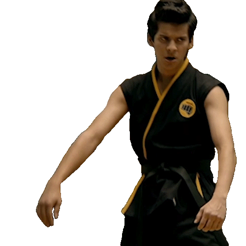 No Mercy Fight Sticker by Cobra Kai for iOS & Android GIPHY