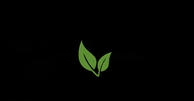 Galena Farmacêutica GIF
