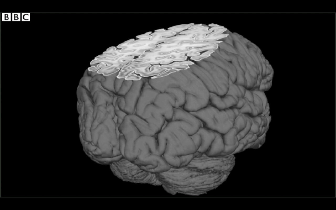 gif wallpaper brain
