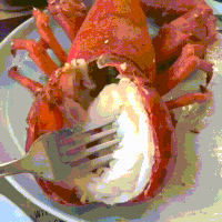 lobster satisfying GIF