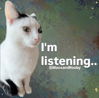 Cat Listening GIF