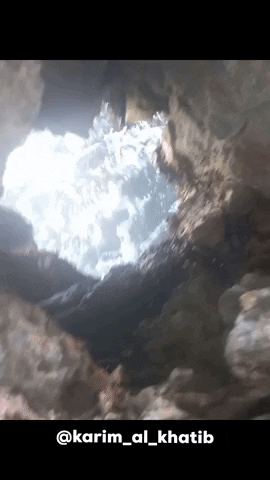 Surprise GIF