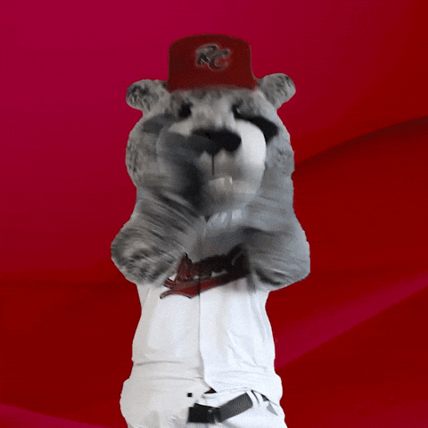 Baseball Thumbs Up GIF by Sacramento River Cats