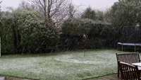 Rare Spring Snow Surprises Residents in Christchurch