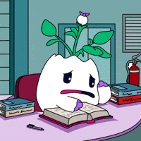 Stressed Back To School GIF by Magic Eden