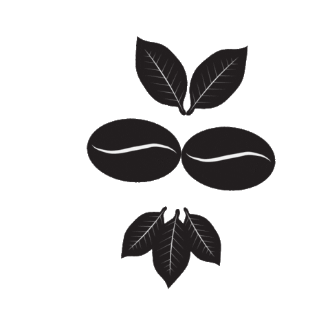 Infinity Coffee Bali Sticker