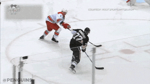 pittsburgh penguins
