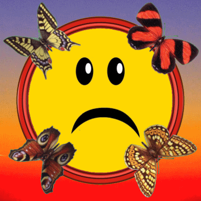Happy Butterfly GIF