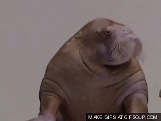 Very-funny-indeed GIFs - Get the best GIF on GIPHY