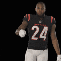 200.gif?cid=fc005b08e791e9c92deb8e98d33c3059ab3aaf9177ceb3bc&rid=200.gif&ct=g
