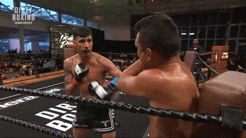 Slow Motion Knockout GIF by Dirty Boxing Championship