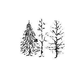 Coffee Time Art Sticker