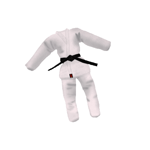 Judo Buddy Sticker