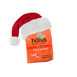 Fruit Punch Christmas Sticker by holus