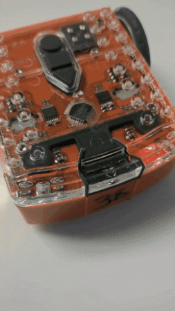 Animated GIF