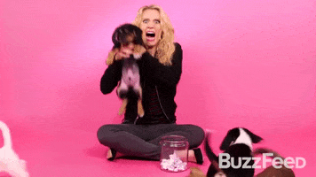 Kate Mckinnon Puppy Interview GIF by BuzzFeed