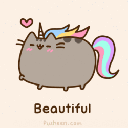 pusheen on a unicorn