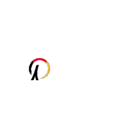 Spikeball Sticker by Roundnet Germany