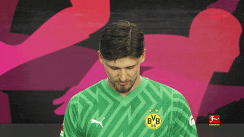 Posing Borussia Dortmund GIF by Bundesliga