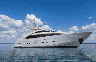 GIF by FYI Yachts