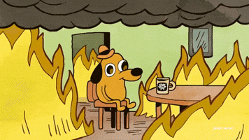 SALTT beat the heatwave