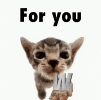 For You Win GIF
