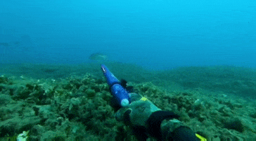 DeepCarbon HydroHulls GIF