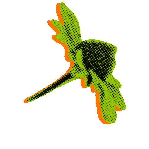 Festival Sticker by LOS40