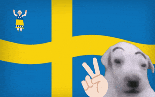 Dog Sweden GIF