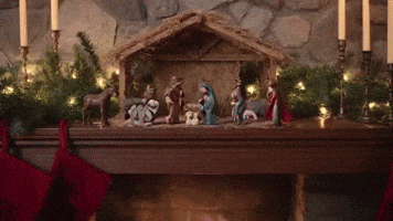 nativity scene gone wild