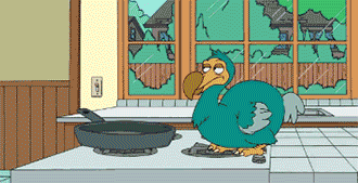 Dodo GIF - Find & Share on GIPHY