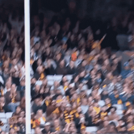 Hawthorn Hawks Afl GIF