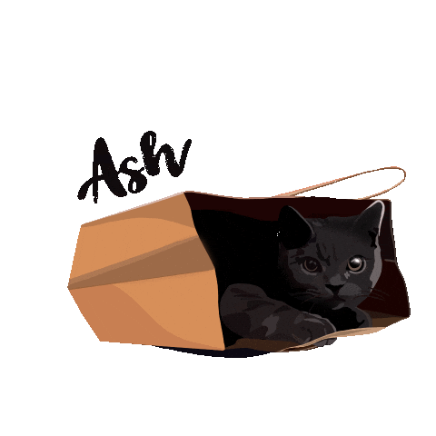 Cat Meow Sticker