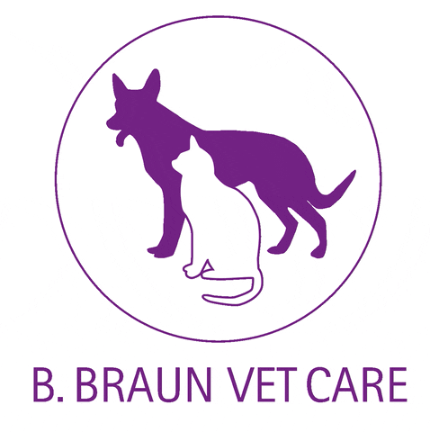 Vet Bbraun GIF by B. Braun Medical