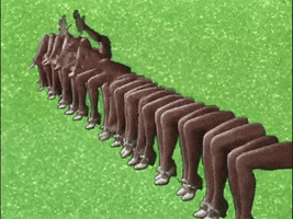 Legs GIF