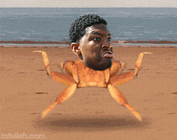 jameis winston boards GIF
