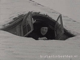 Winter Wonderland GIF by BrabantinBeelden