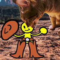 Herding-cats GIFs - Get the best GIF on GIPHY